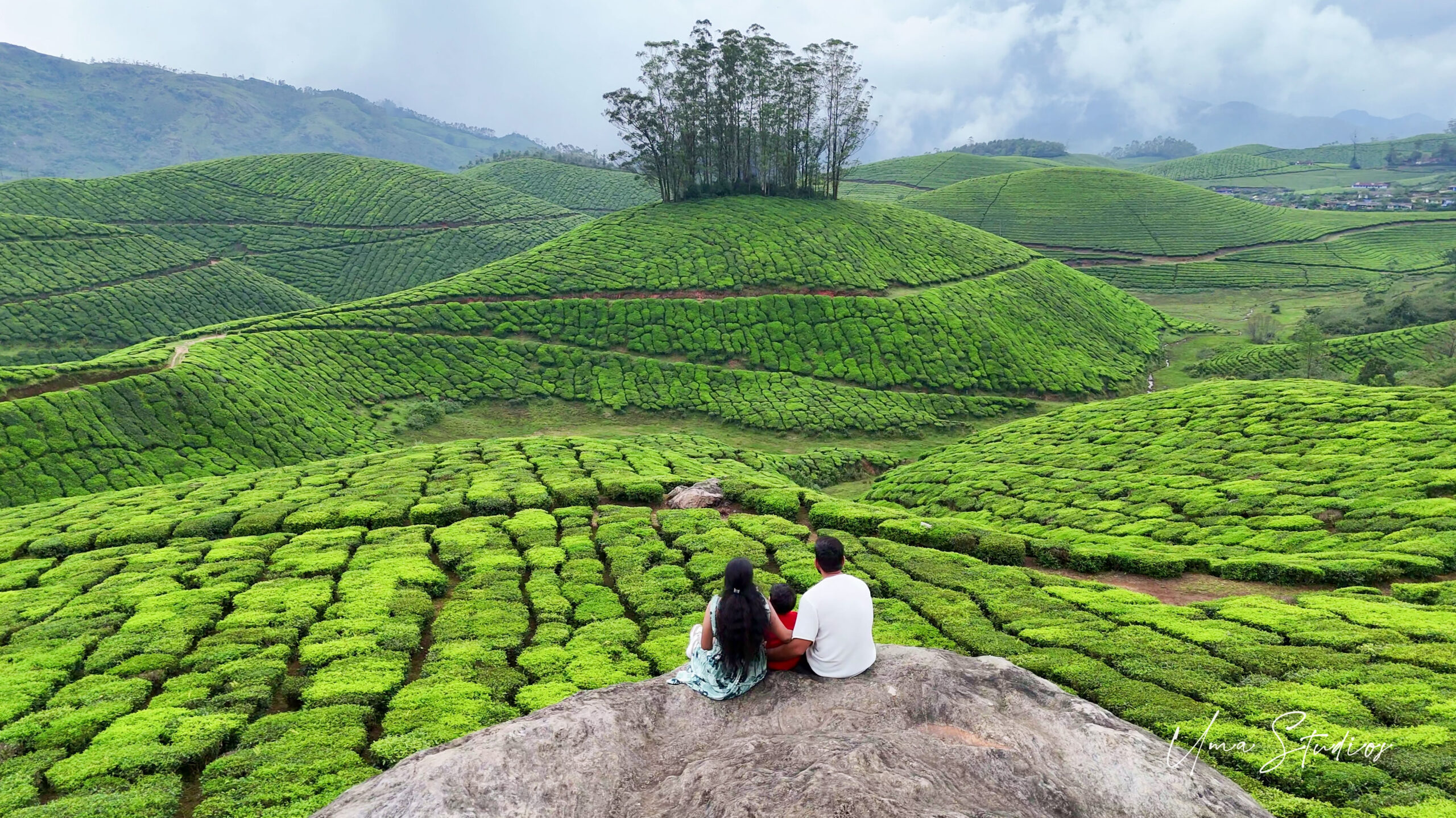 Munnar Hills